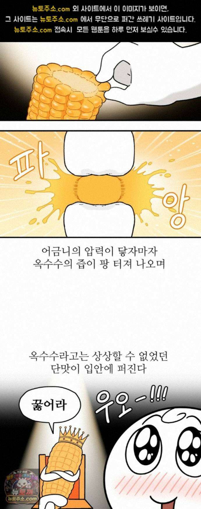 먹는 인생2 59화 초당옥수수 10