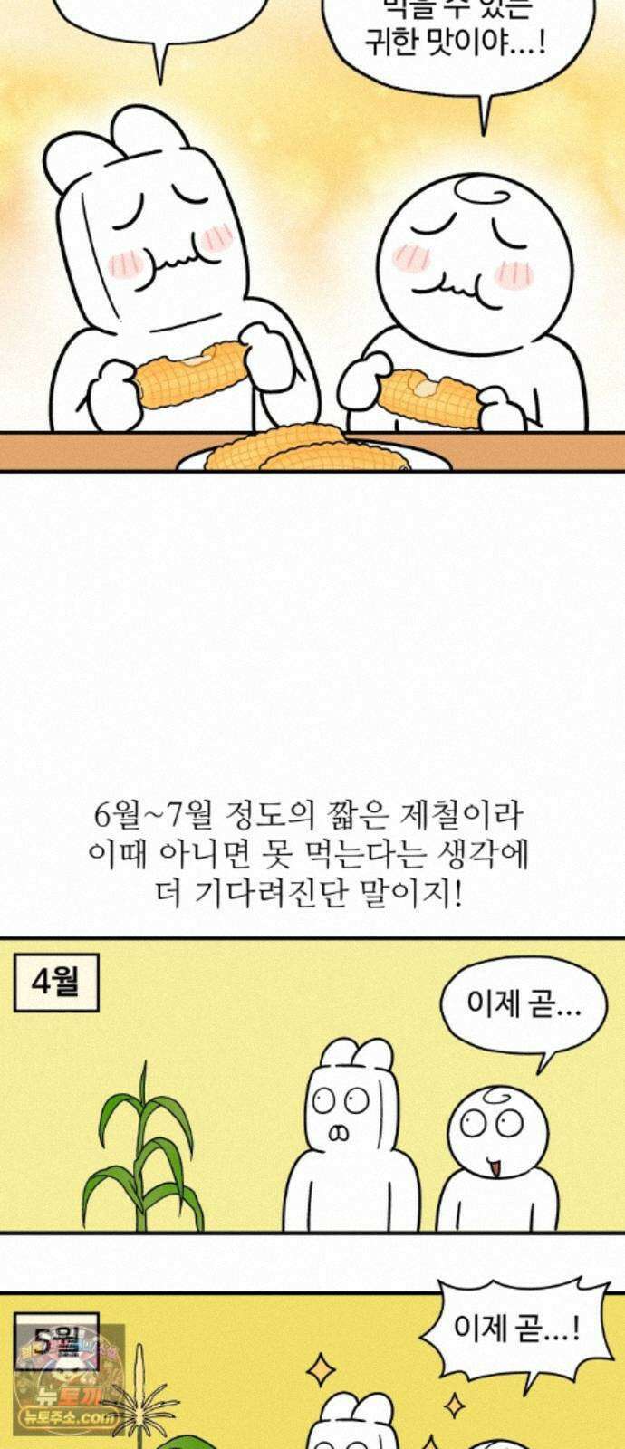 먹는 인생2 59화 초당옥수수 16