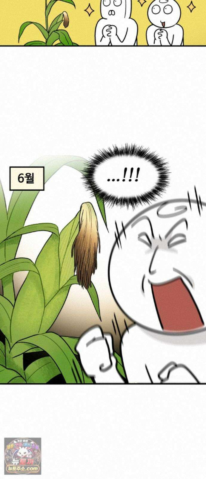 먹는 인생2 59화 초당옥수수 17
