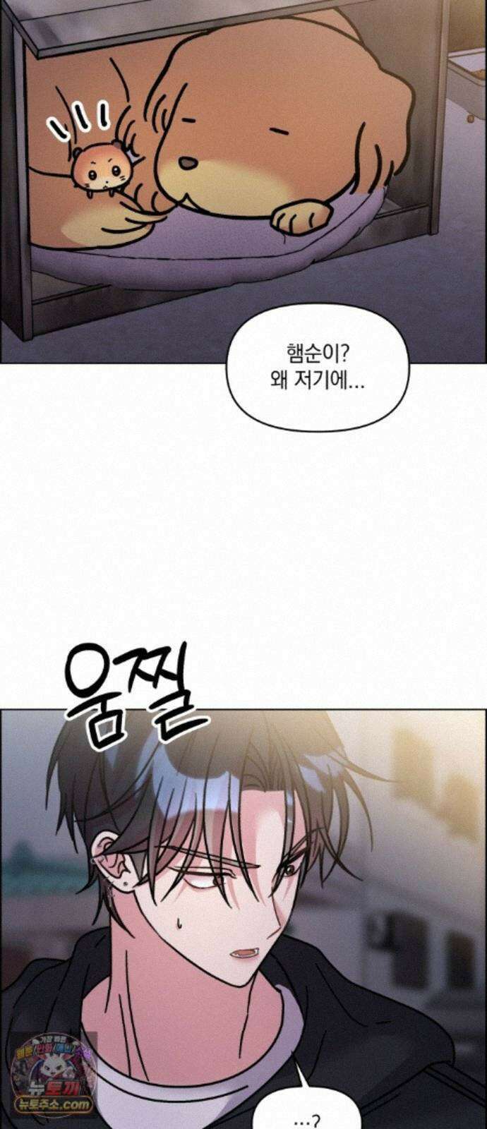 냥냥찍찍! 62화． 개와 고양이와 쥐의 시간 2