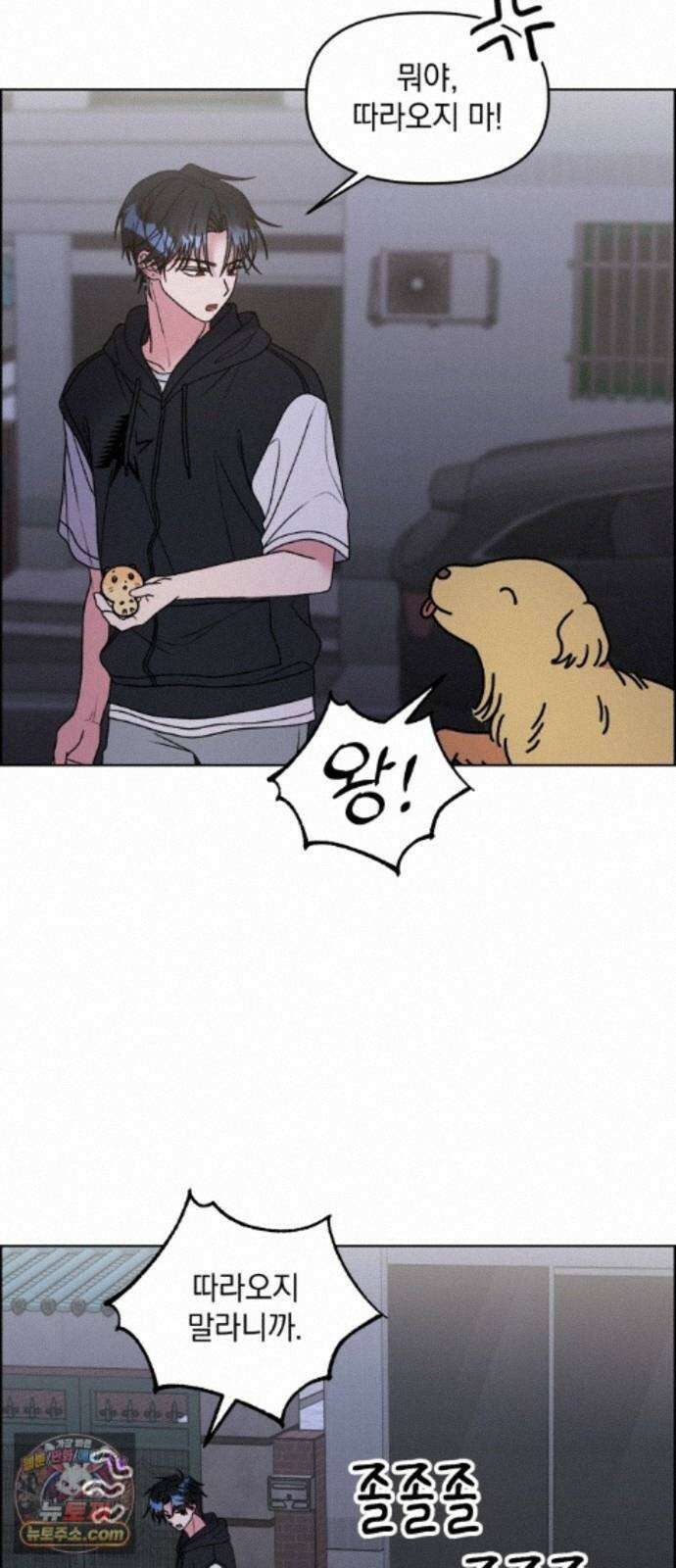 냥냥찍찍! 62화． 개와 고양이와 쥐의 시간 8