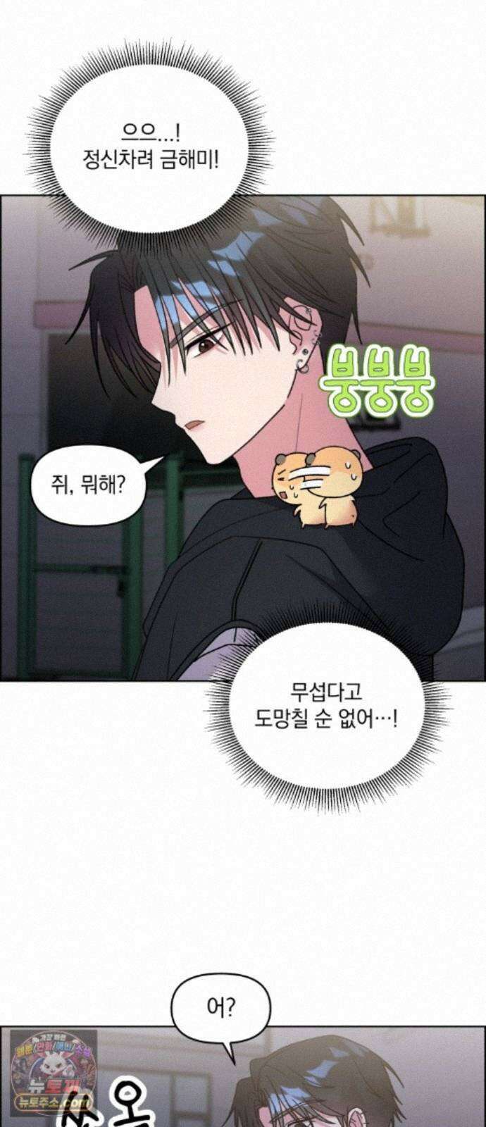 냥냥찍찍! 62화． 개와 고양이와 쥐의 시간 17