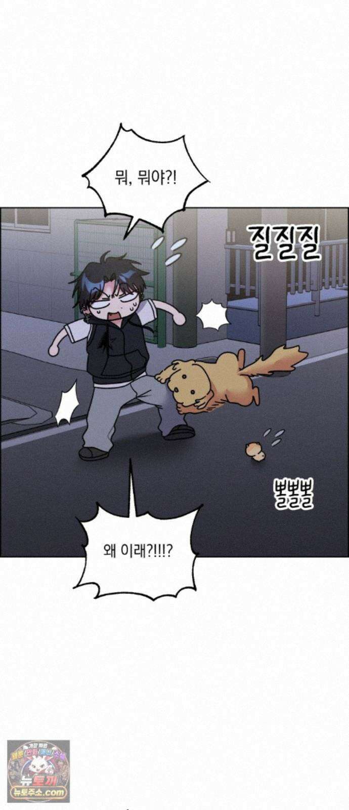 냥냥찍찍! 62화． 개와 고양이와 쥐의 시간 20