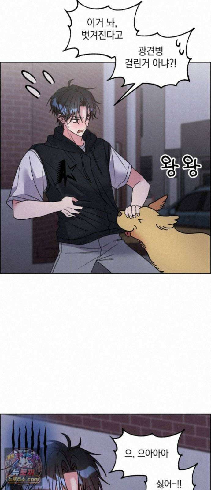 냥냥찍찍! 62화． 개와 고양이와 쥐의 시간 21