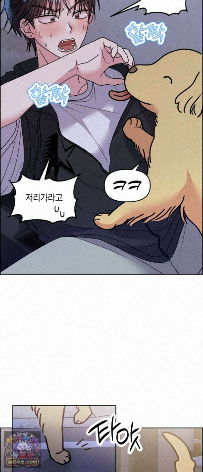 냥냥찍찍! 62화． 개와 고양이와 쥐의 시간 22
