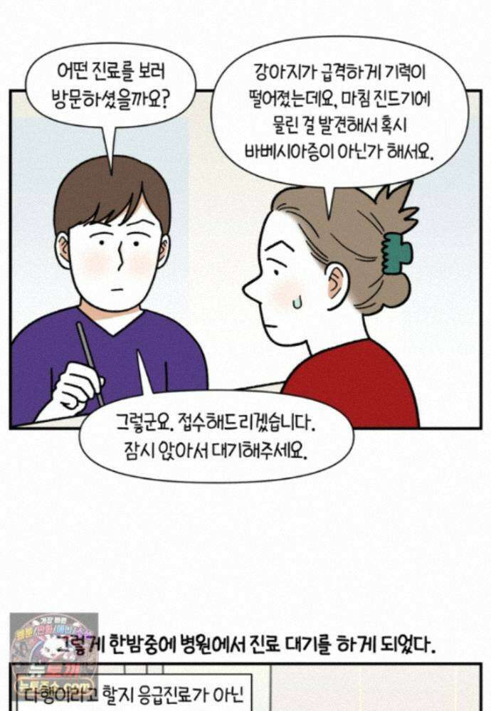 극한견주 시즌2 144화 아픈 이유 찾기 2