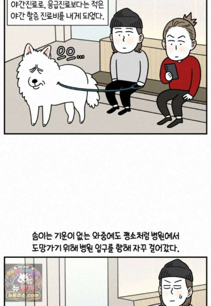 극한견주 시즌2 144화 아픈 이유 찾기 3