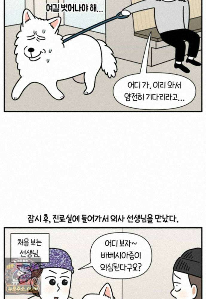 극한견주 시즌2 144화 아픈 이유 찾기 4