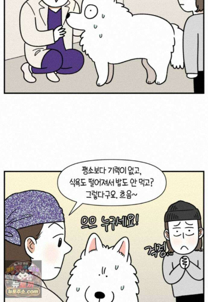 극한견주 시즌2 144화 아픈 이유 찾기 5