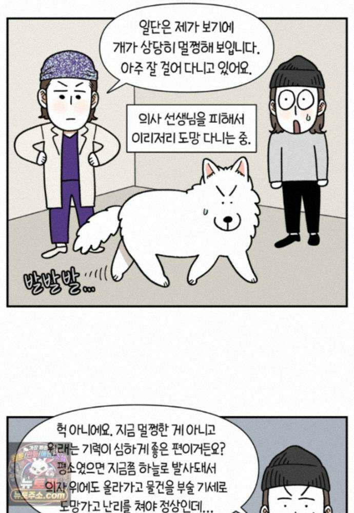 극한견주 시즌2 144화 아픈 이유 찾기 7