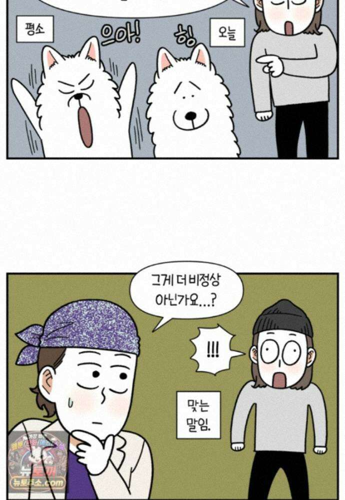극한견주 시즌2 144화 아픈 이유 찾기 8