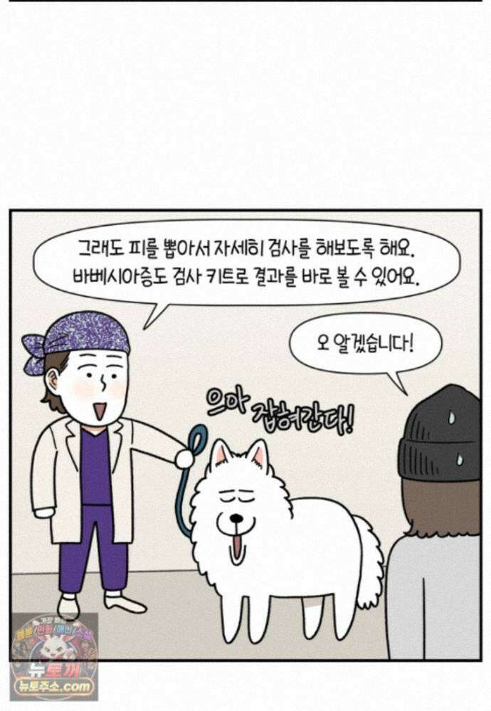극한견주 시즌2 144화 아픈 이유 찾기 9
