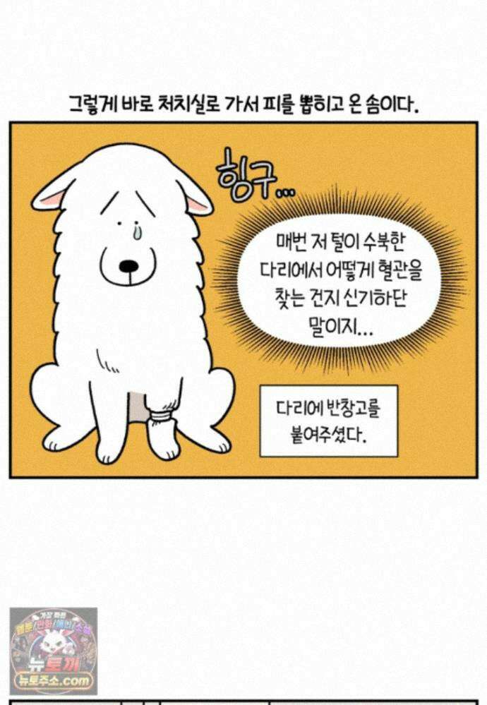 극한견주 시즌2 144화 아픈 이유 찾기 10