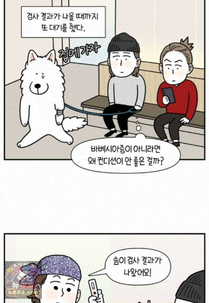 극한견주 시즌2 144화 아픈 이유 찾기 11