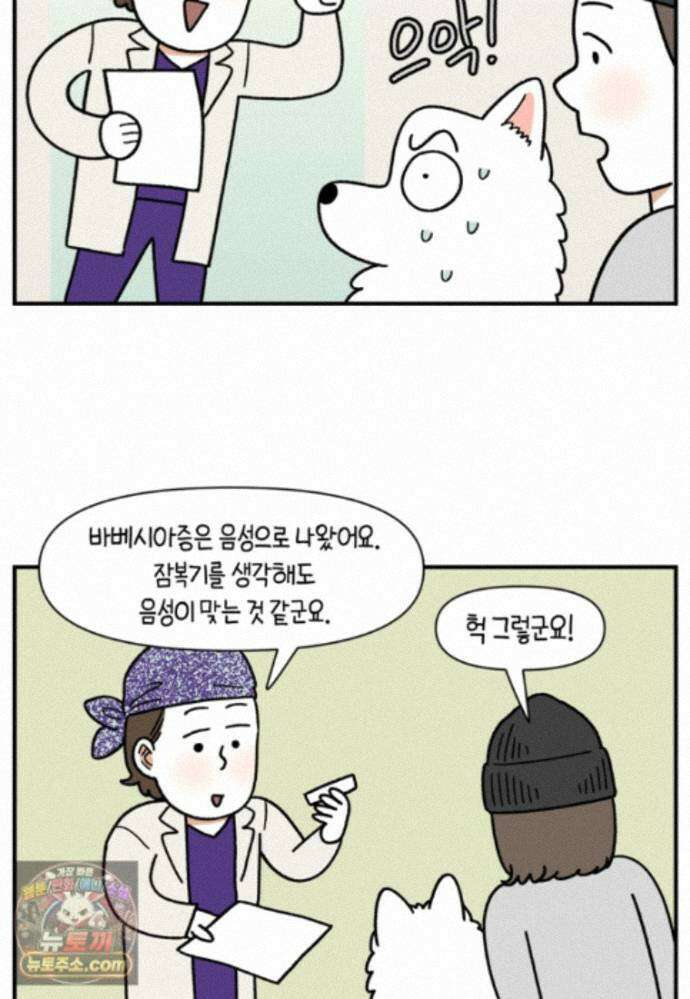 극한견주 시즌2 144화 아픈 이유 찾기 12