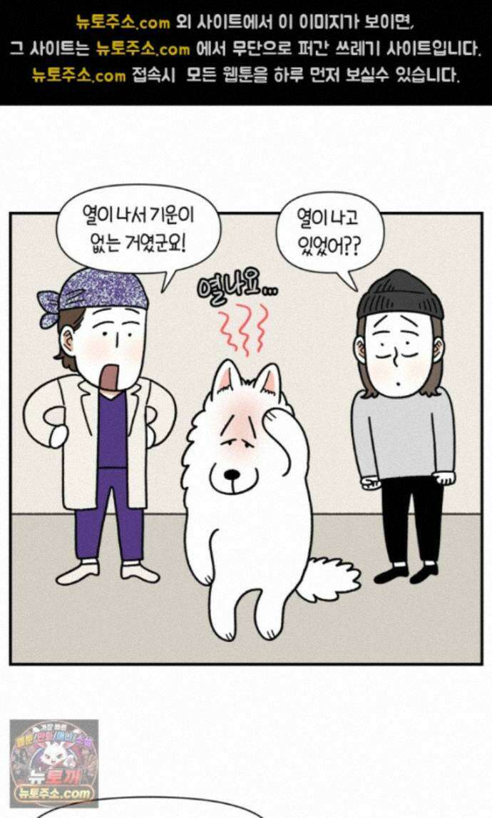 극한견주 시즌2 144화 아픈 이유 찾기 14
