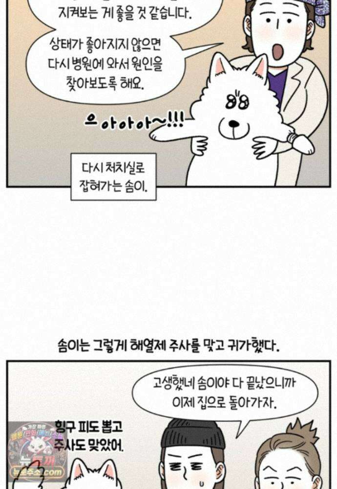 극한견주 시즌2 144화 아픈 이유 찾기 16