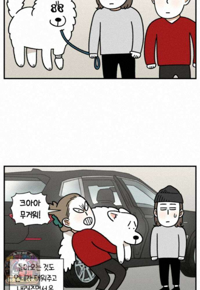 극한견주 시즌2 144화 아픈 이유 찾기 17