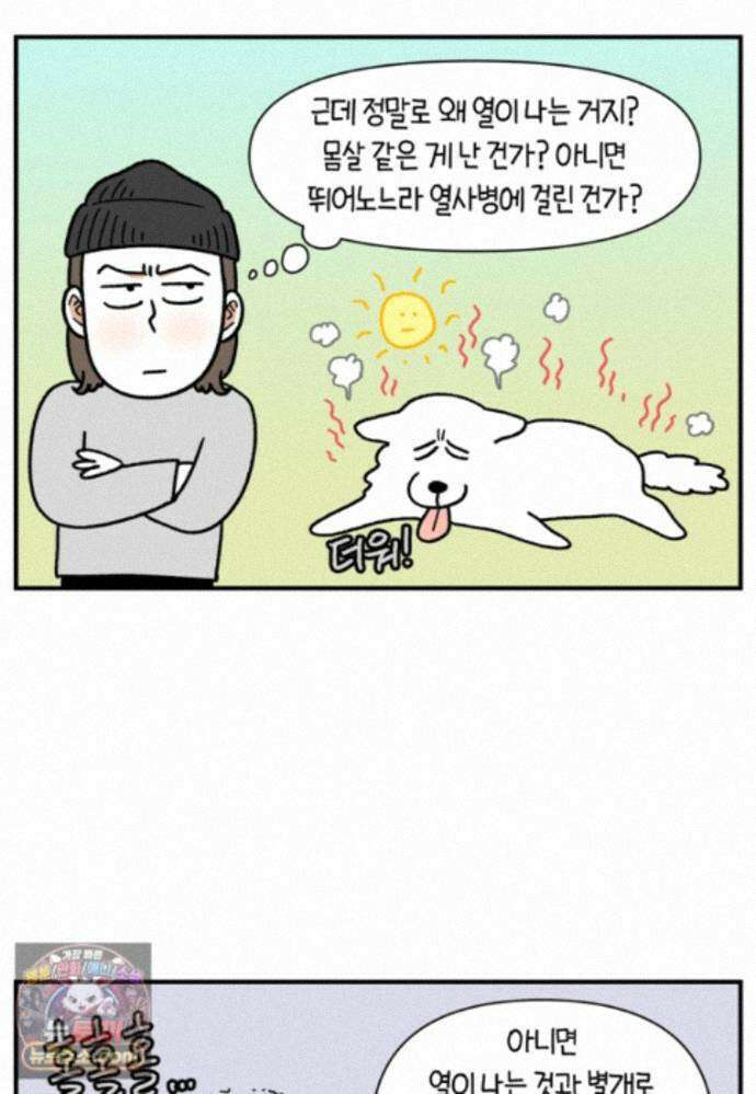 극한견주 시즌2 144화 아픈 이유 찾기 19