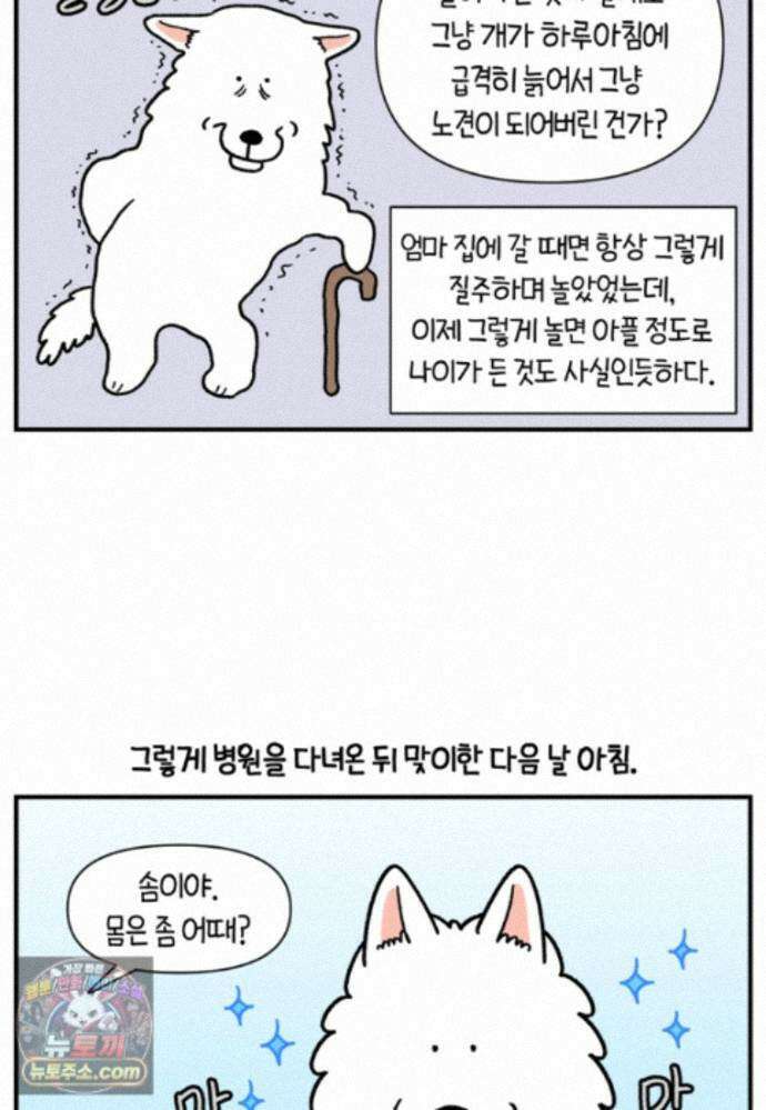 극한견주 시즌2 144화 아픈 이유 찾기 20