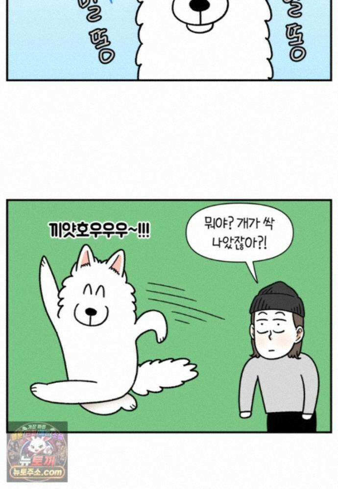극한견주 시즌2 144화 아픈 이유 찾기 21