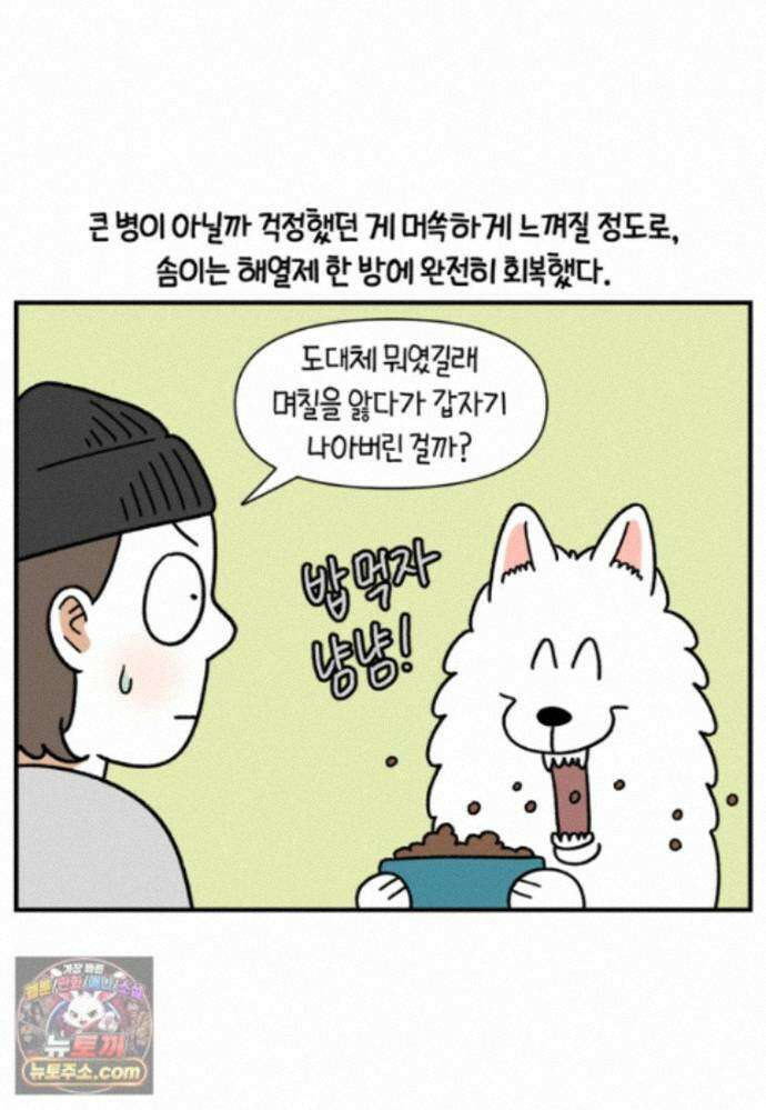 극한견주 시즌2 144화 아픈 이유 찾기 22
