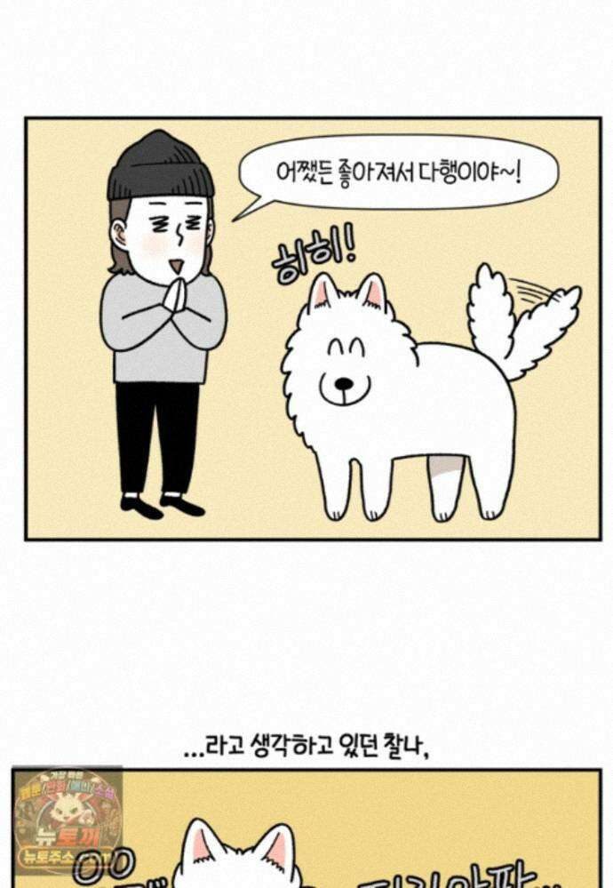 극한견주 시즌2 144화 아픈 이유 찾기 23