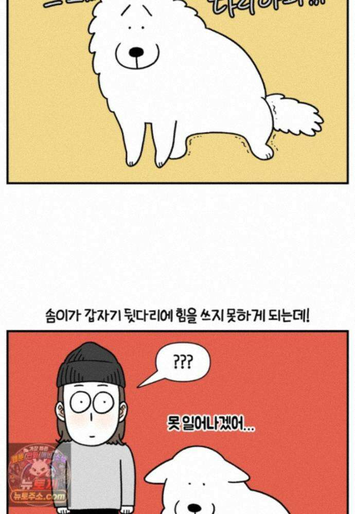 극한견주 시즌2 144화 아픈 이유 찾기 24