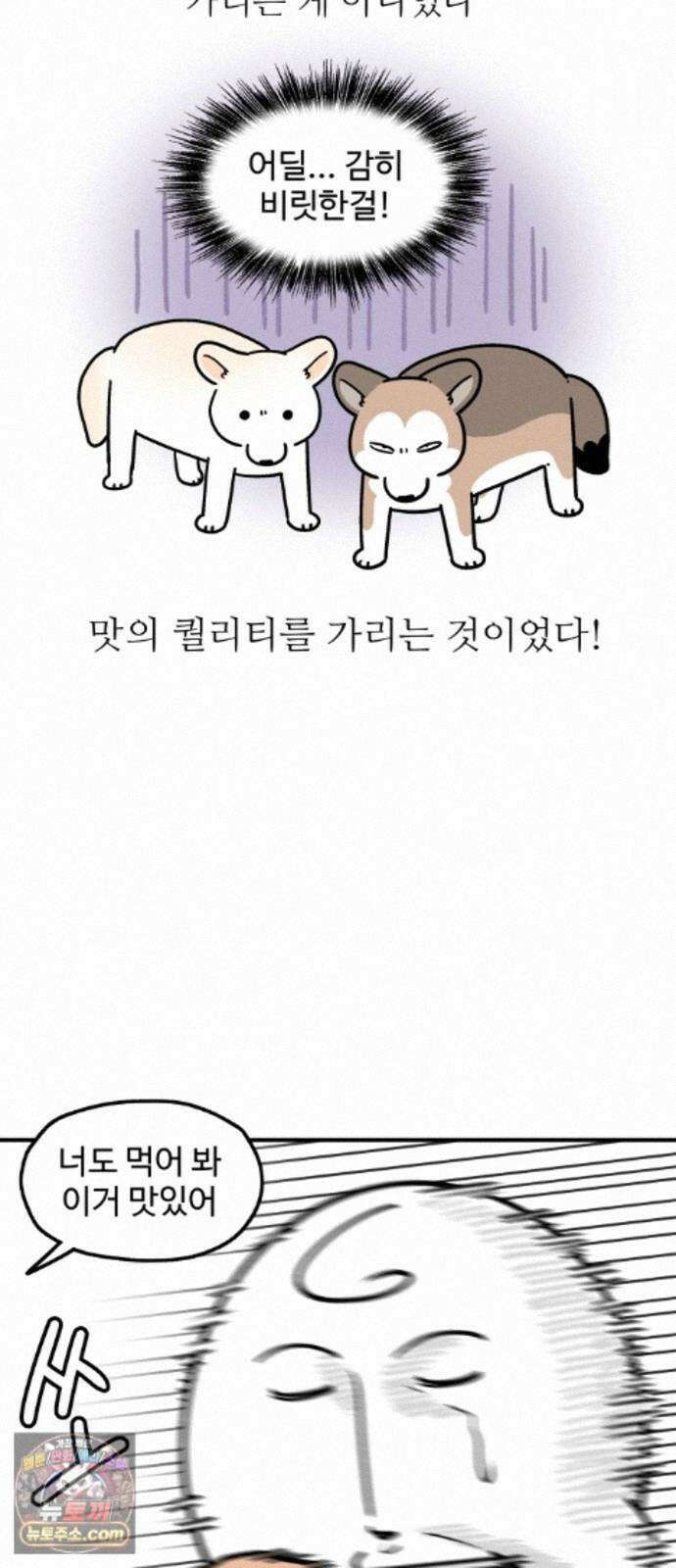 먹는 인생2 62화 날것의 맛, 육회 10