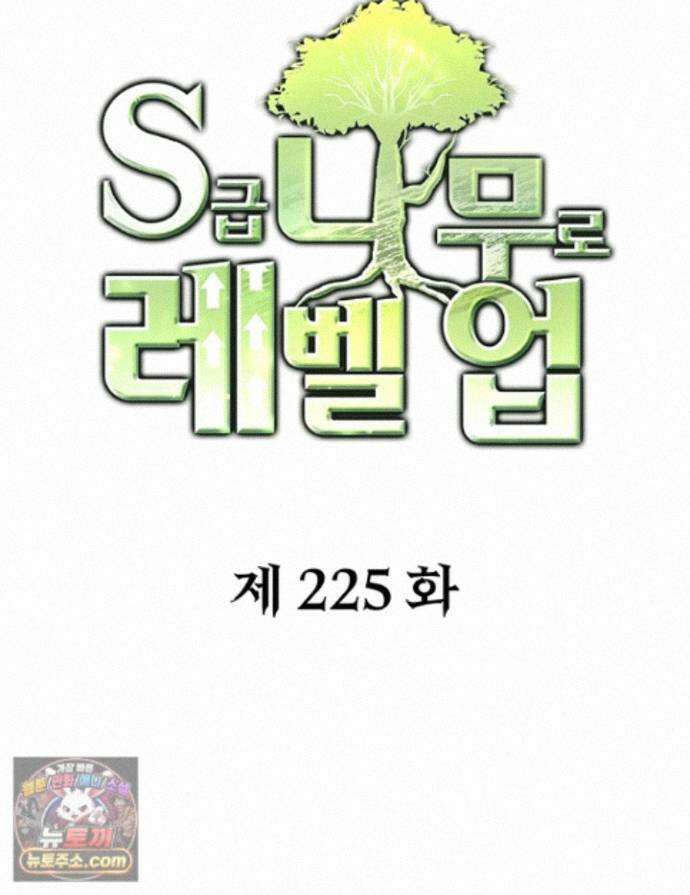 S급 나무로 레벨업 225화 1