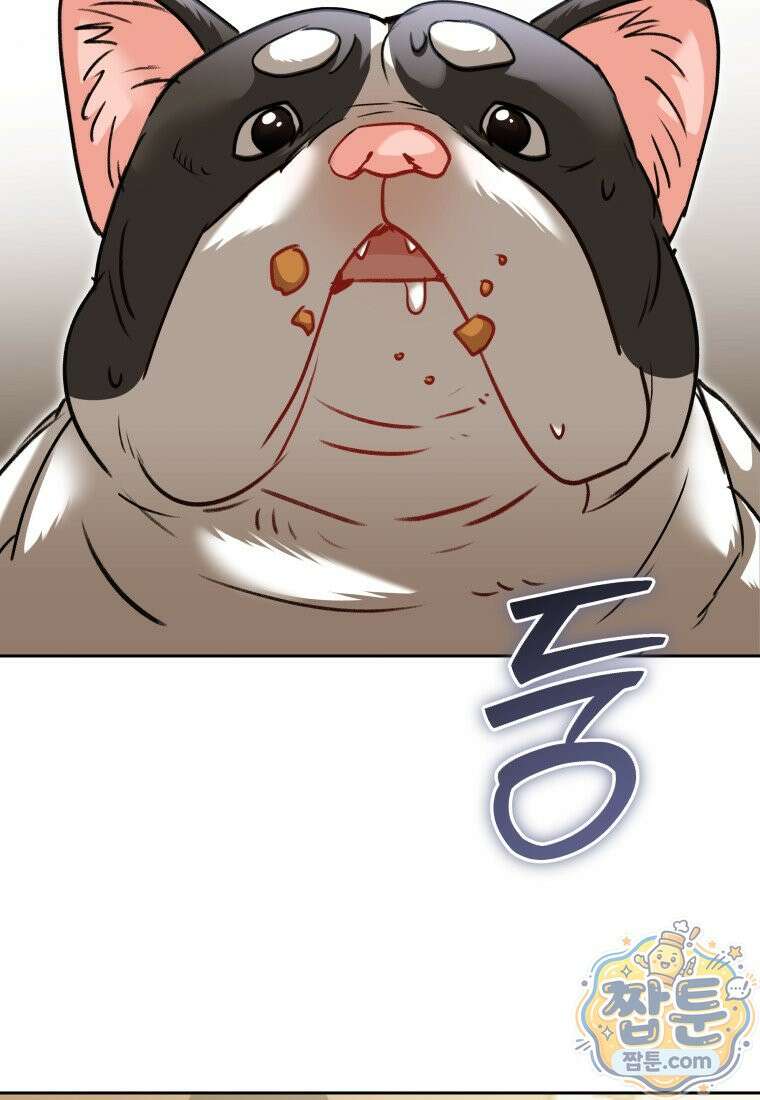 수의사님! 안녕하세요 141화 2