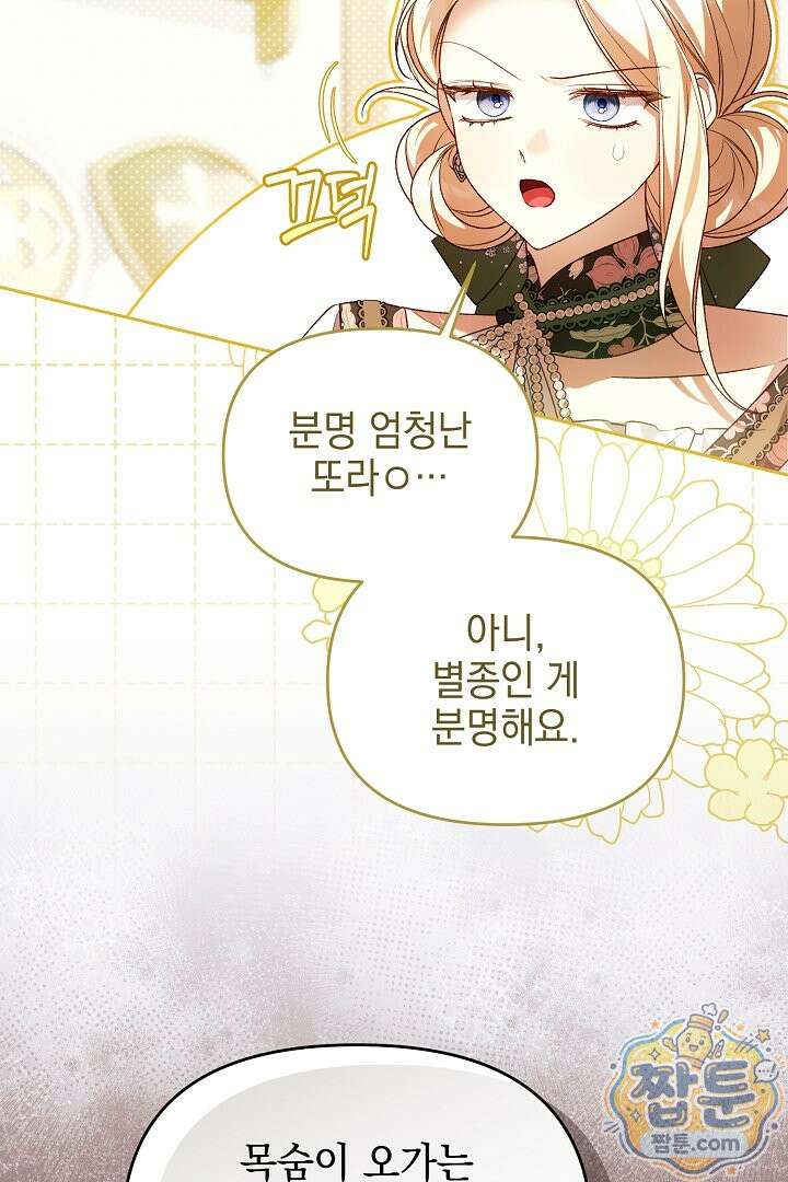 TOP 100 영애 55화 9