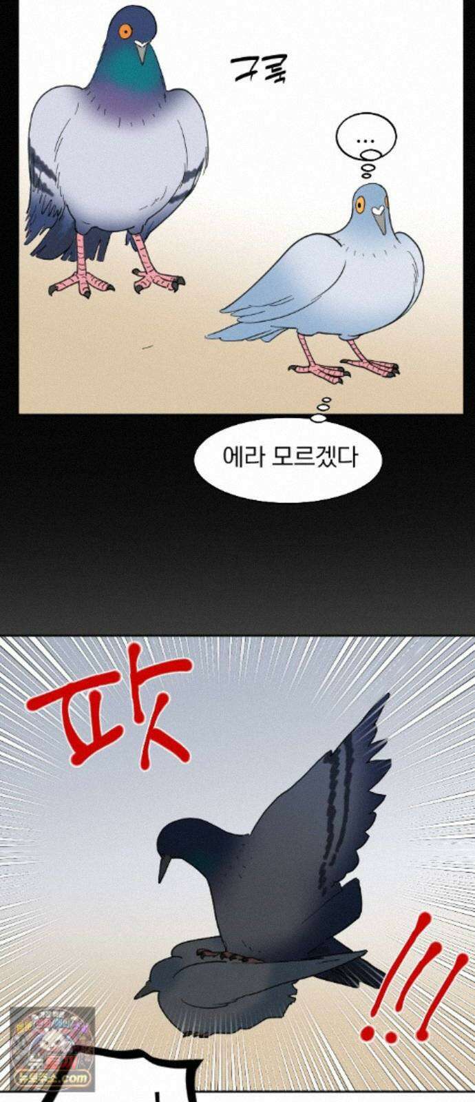 성북구 비둘기 이헌서 91화) 헌서, 휘혈(4) 4