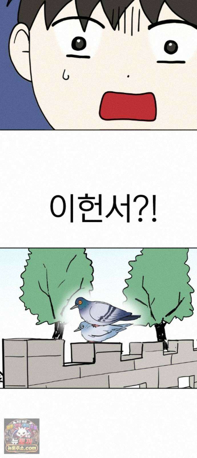 성북구 비둘기 이헌서 91화) 헌서, 휘혈(4) 8