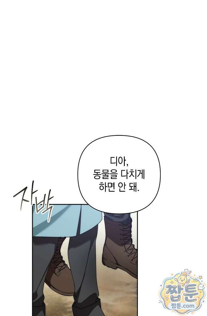 아르카디아 13화 12