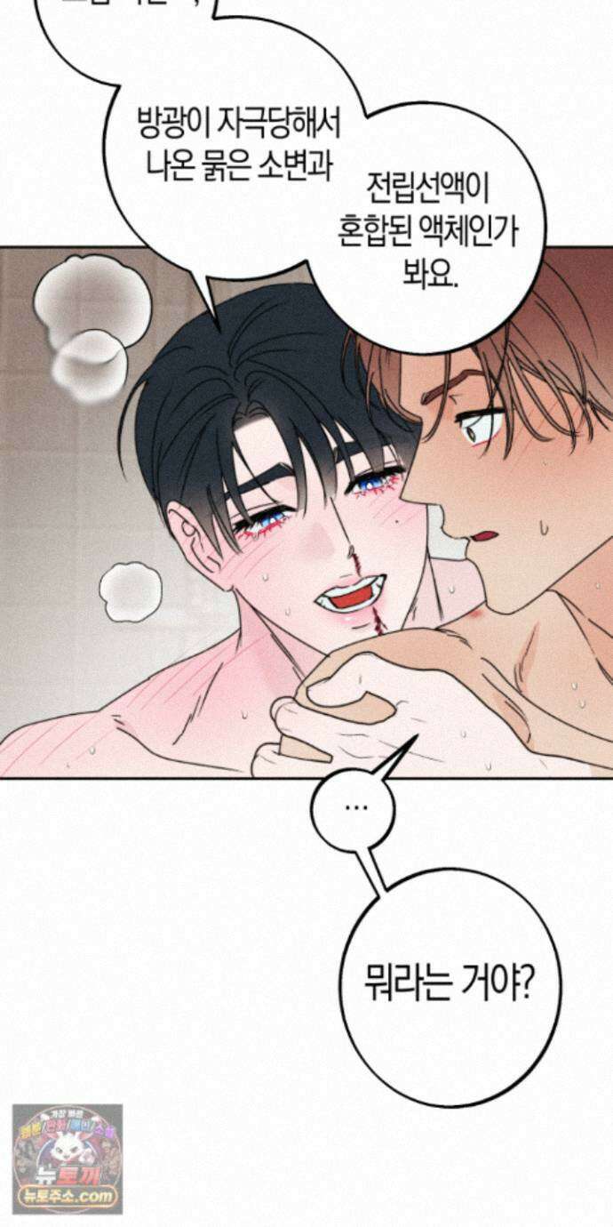 누군가 정해둔 것처럼 17화 5