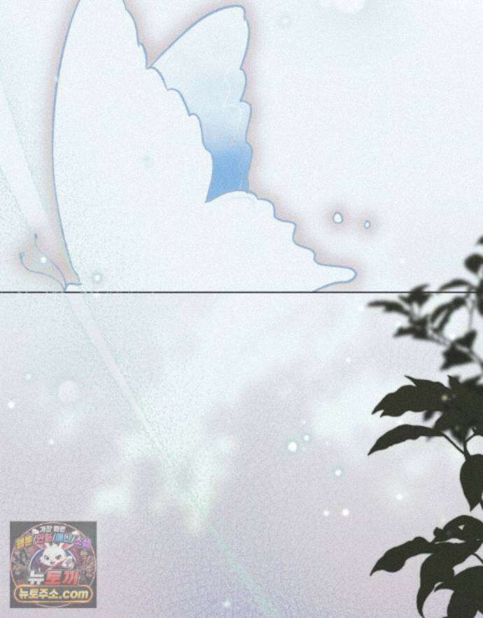 안개를 삼킨 나비 36화 2