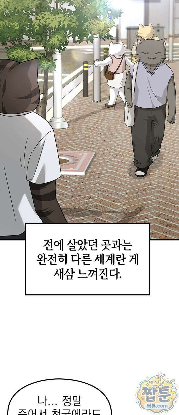 세상 사람들이 모두가 고양이라면 11화 12