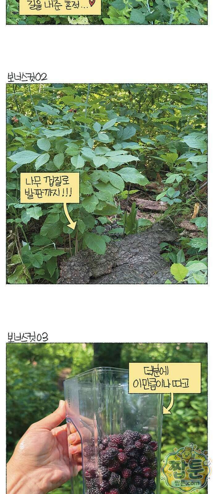 마님이네 미국 시골집 이야기 299화 8