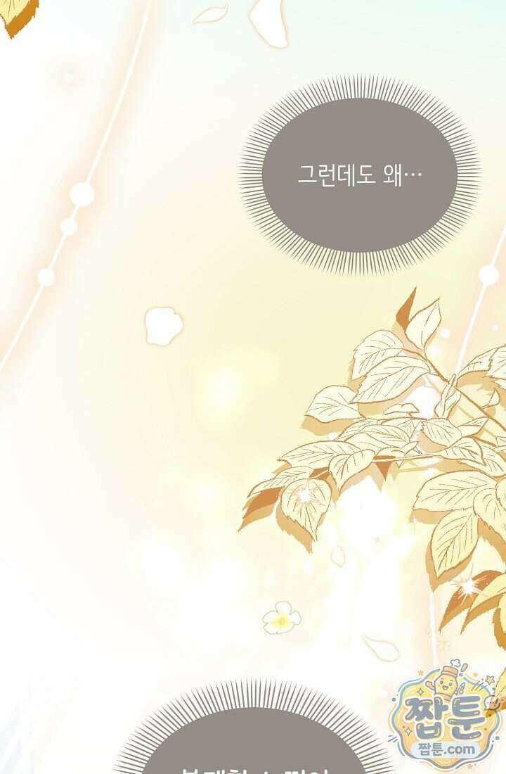 황녀 스베타의 정략결혼 050화 94