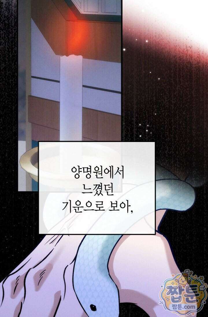 취한 그림자와 춤추는 봄 10화 61
