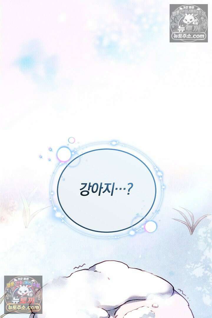 내 반려동물이 악당이 되었을 때 9화 9