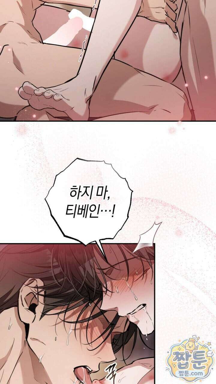 그 귀족가 형제들의 사정 18화 10