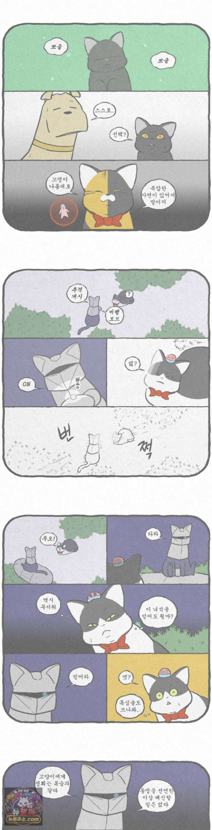 고로애옳 43화 2
