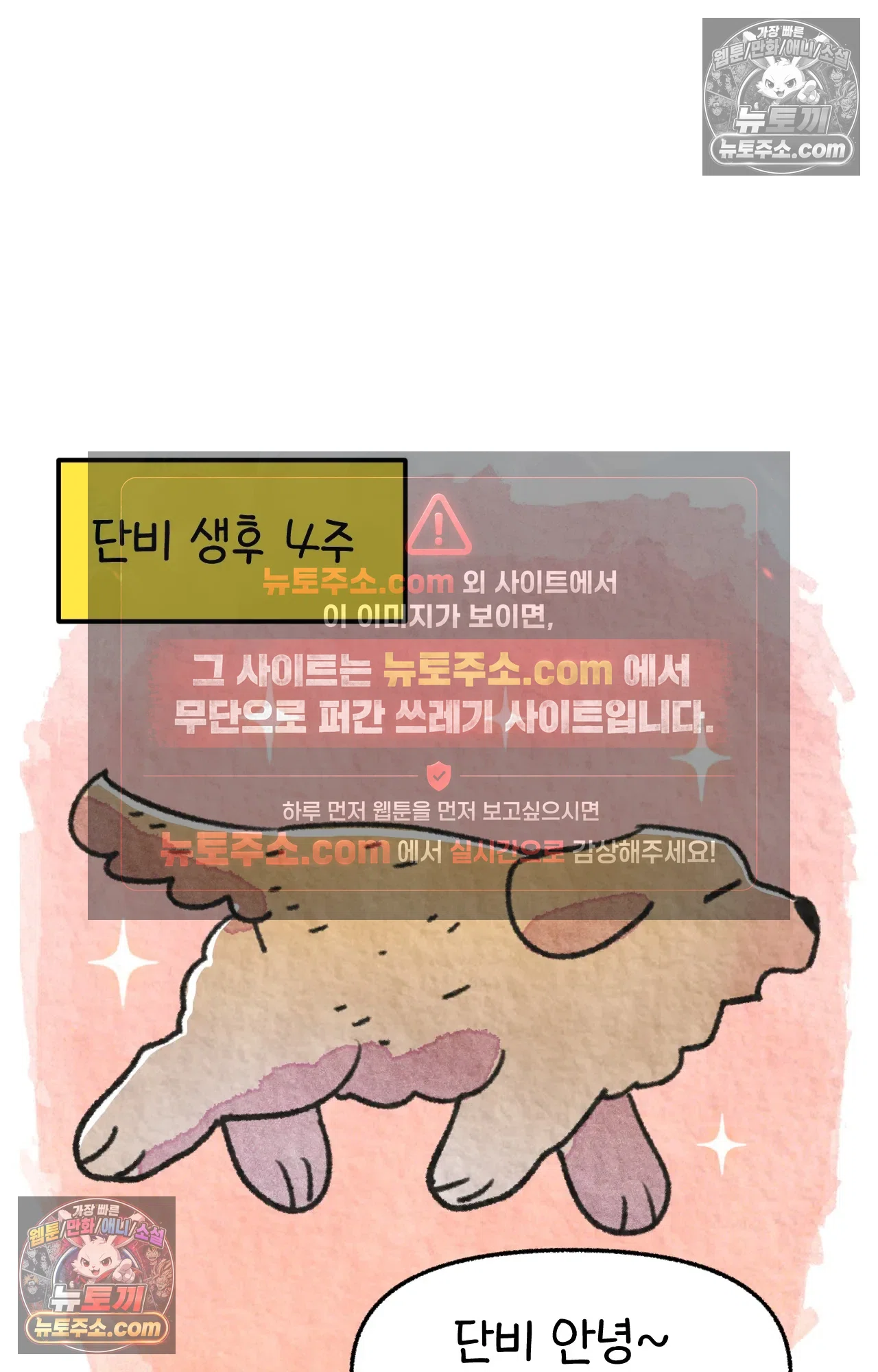 국제결혼 절대로 하지 마라 내 이름은 단비 48