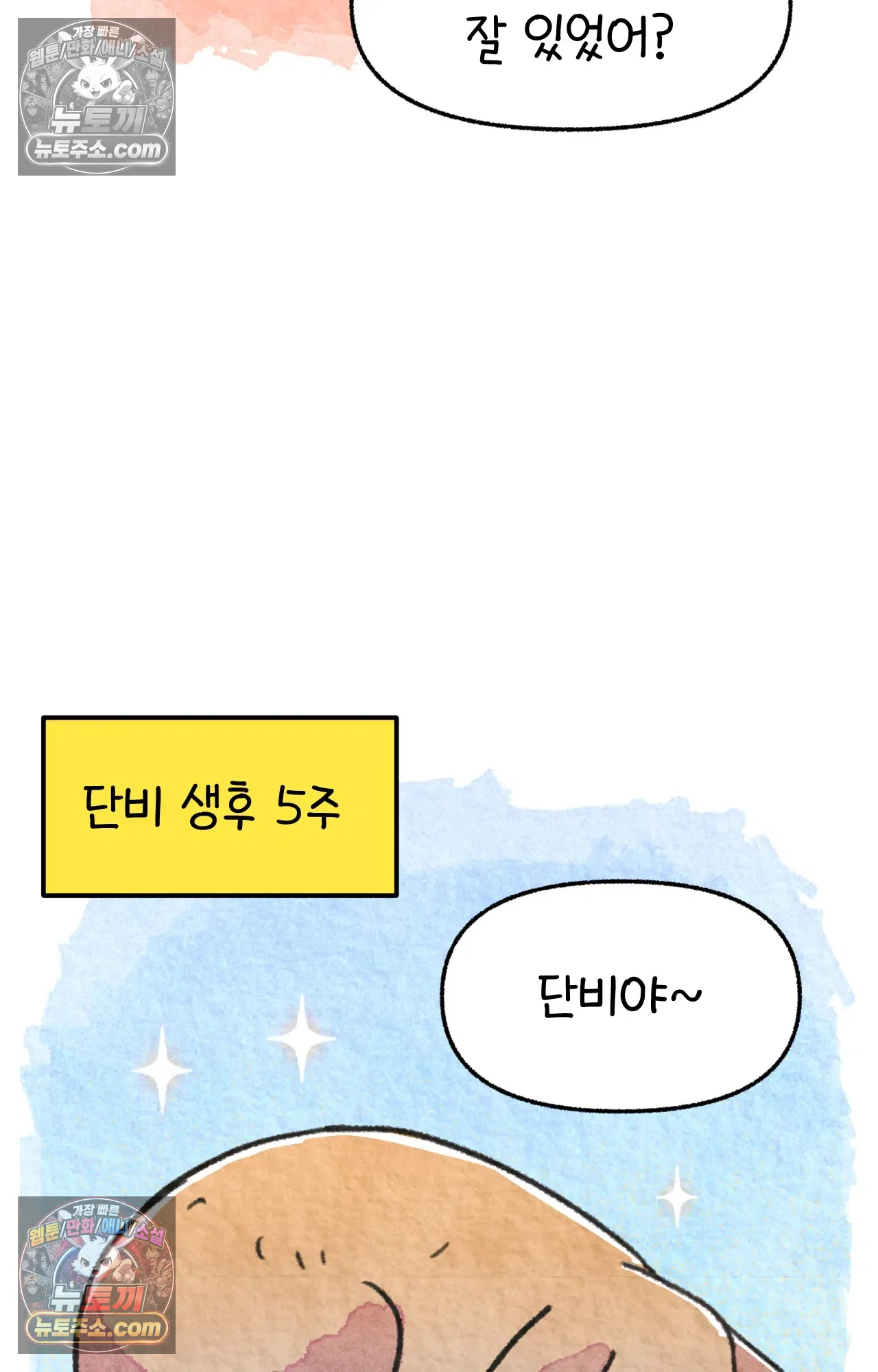 국제결혼 절대로 하지 마라 내 이름은 단비 49