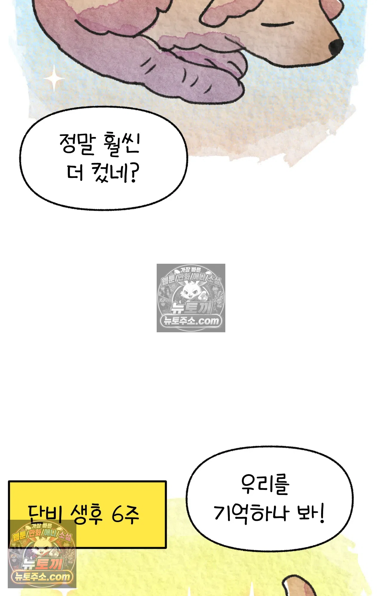 국제결혼 절대로 하지 마라 내 이름은 단비 50