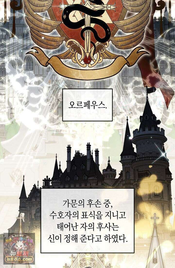 저주받은 대공의 아내가 되었다 [19세 완전판] 1화 13