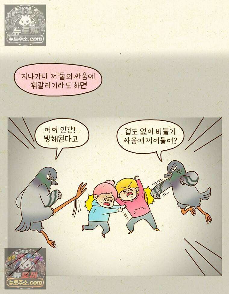 반지하셋방 443화 비둘기 5