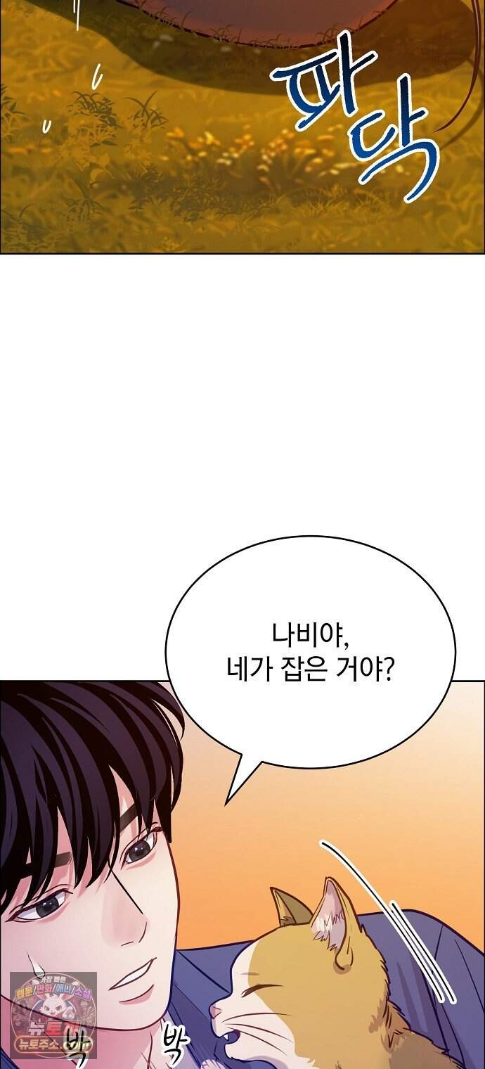범상한 변호사의 아공간 37화 66